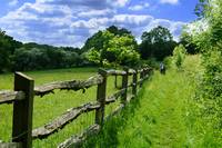 walk_19_ca_Field_and_Fence_small[1]